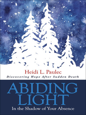 cover image of Abiding Light